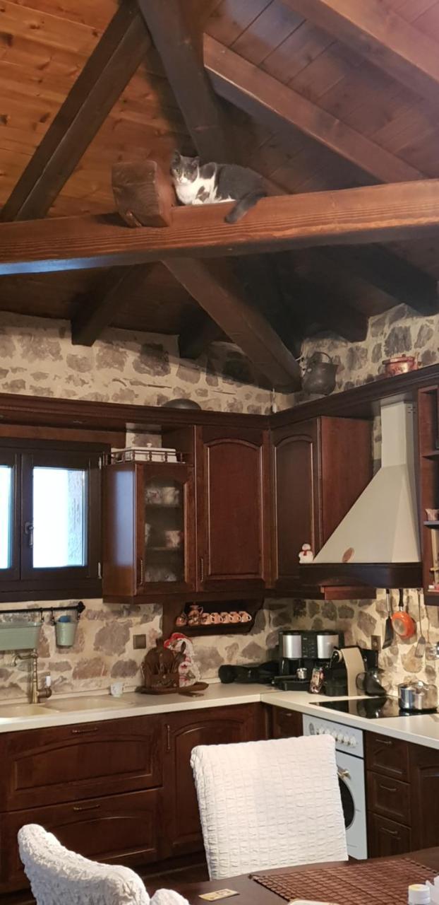 Mountain Villa Graviá Extérieur photo